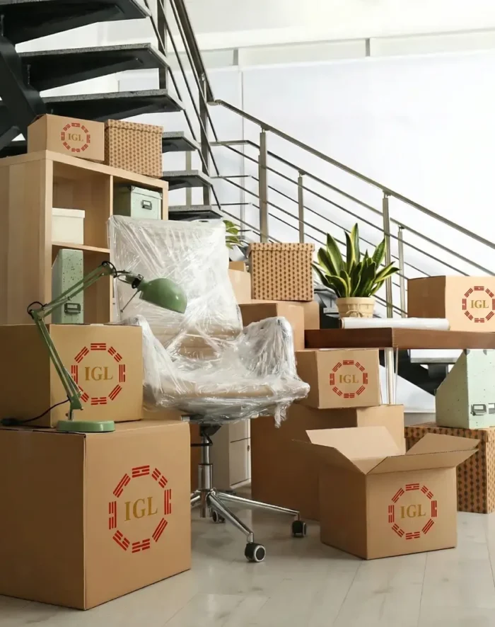 Gemini_Generated_Image_75z6fa75z6fa75z6-1 Gemini_Generated_Image_75z6fa75z6fa75z6-1